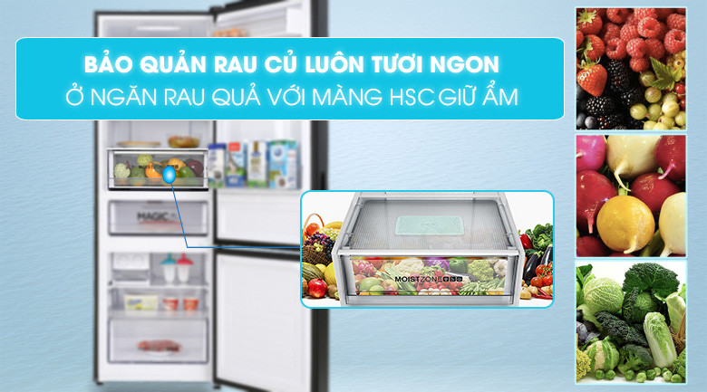 AQR-B379MA(WGB)- công nghệ bảo quản thực phẩm