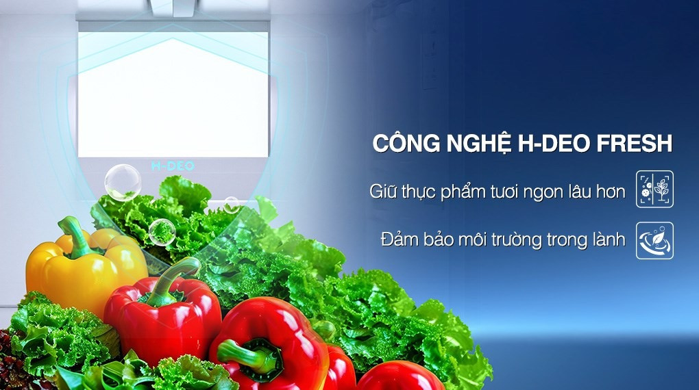 Ngăn lạnh 2 ngăn Magic Zone