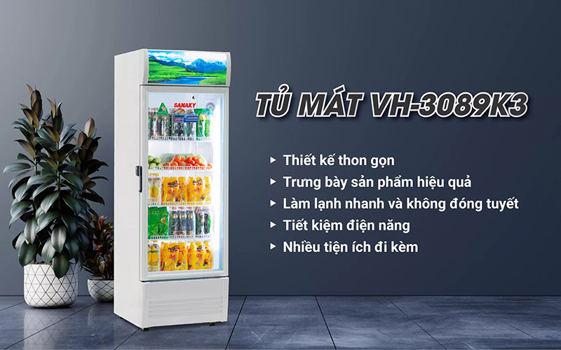 Tủ Mát Sanaky Inverter 300 Lít VH-3089K3-tổng quan