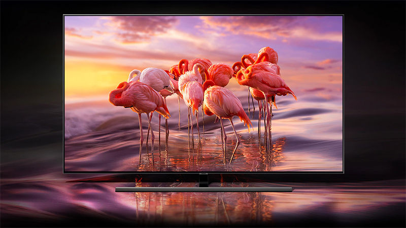 Smart Tivi 4K Samsung QLED 65 inch Q80RA (QA65Q80RAKXXV) rẻ