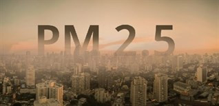 Ảnh hưởng của bụi PM2.5 đến sức khỏe con người