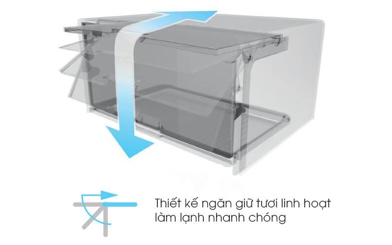 Tủ lạnh Sharp 241 Lít Inverter SJ-X251E-SL (2 cửa)