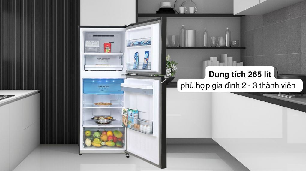 Dung tích NR-TV301GVKV