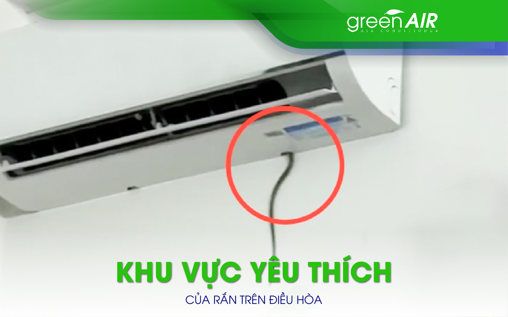 khu vực yêu thích của rắn trên điều hòa