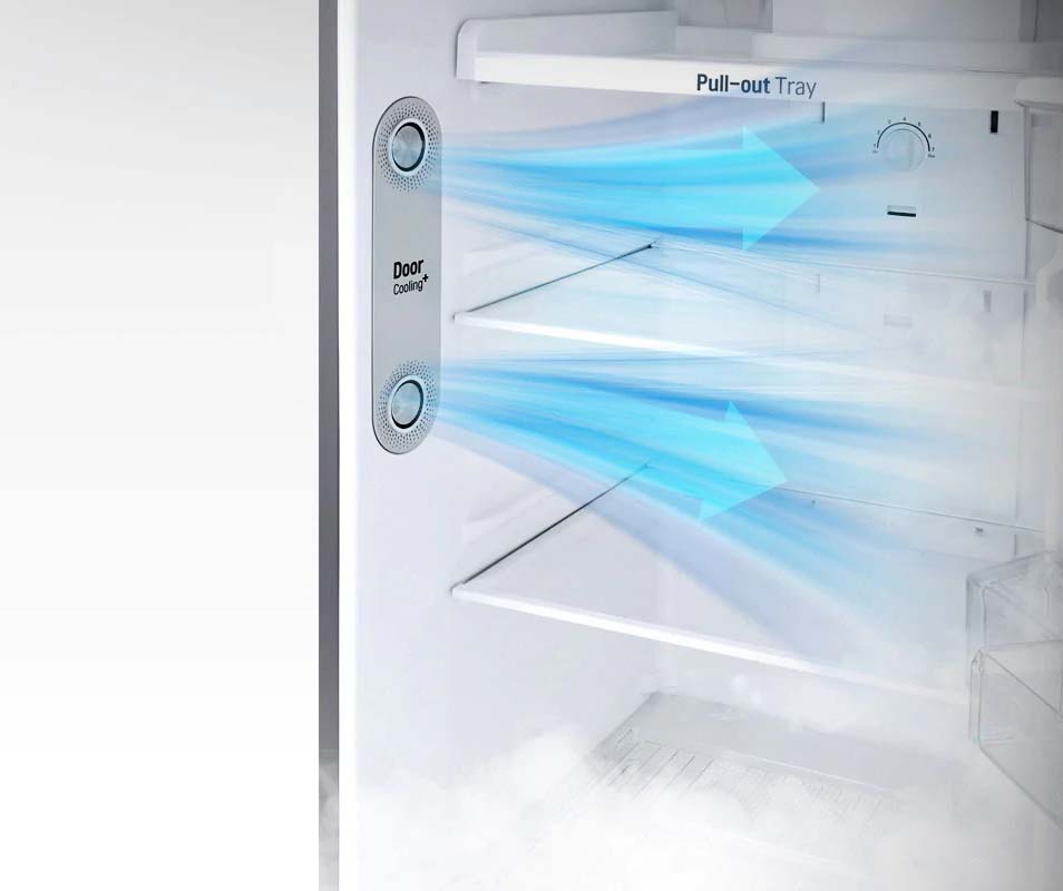 Tủ lạnh LG Inverter 272 Lít GN-D255PS (2 cửa)