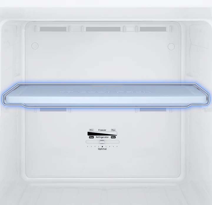 Tủ Lạnh Samsung Inverter 264L (RT25M4032BY/SV) giá tốt