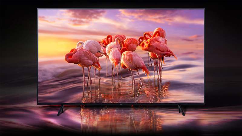 Smart tivi 4K Samsung QLED 43 inch Q65R (QA43Q65RAKXXV) ưu đãi
