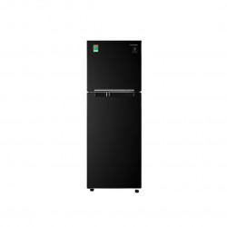 Tủ Lạnh Samsung Inverter  243 Lít RT22M4032BU/SV (2 Cánh)