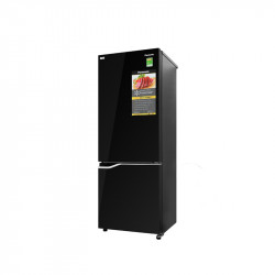 Tủ Lạnh Panasonic 290 Lít Inverter NR-BV320GKVN (2 Cánh)