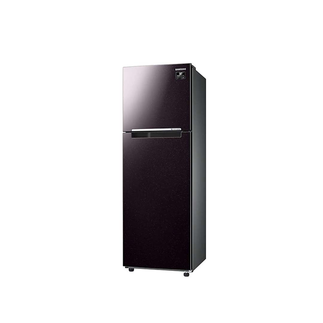Tủ Lạnh Samsung Inverter  256 Lít RT25M4032BY/SV (2 Cánh)