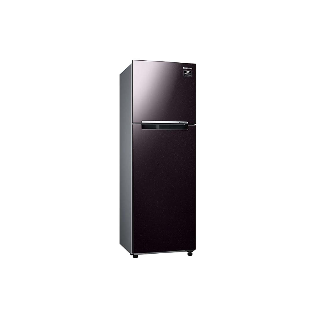 Tủ Lạnh Samsung Inverter  256 Lít RT25M4032BY/SV (2 Cánh)