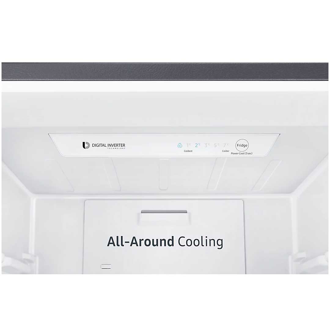 Tủ lạnh Samsung Inverter 307 Lít RB30N4170S8/SV (2 Cánh)