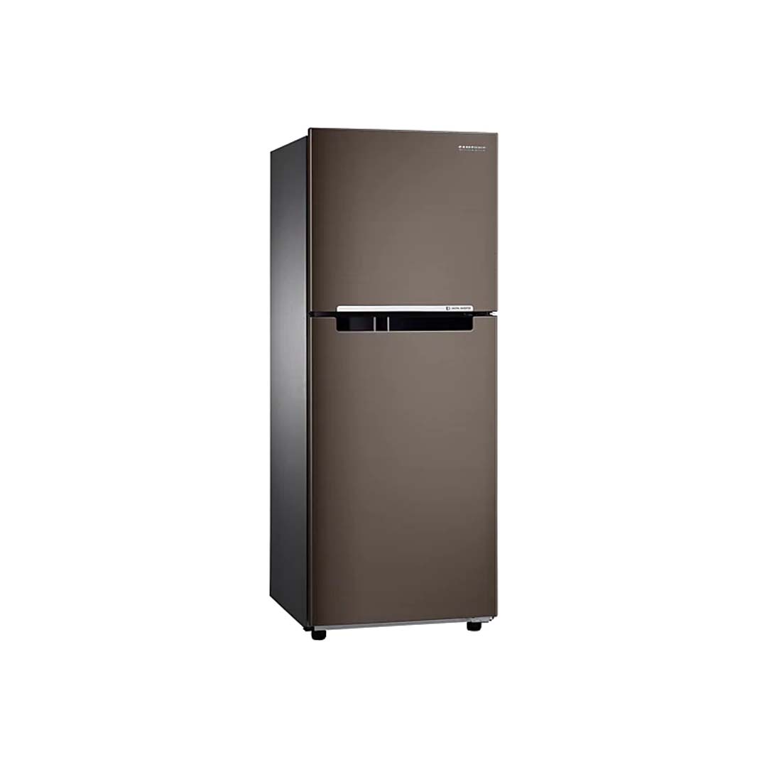 Tủ lạnh Samsung Inverter 216 Lít RT20HAR8DDX/SV (2 Cánh)