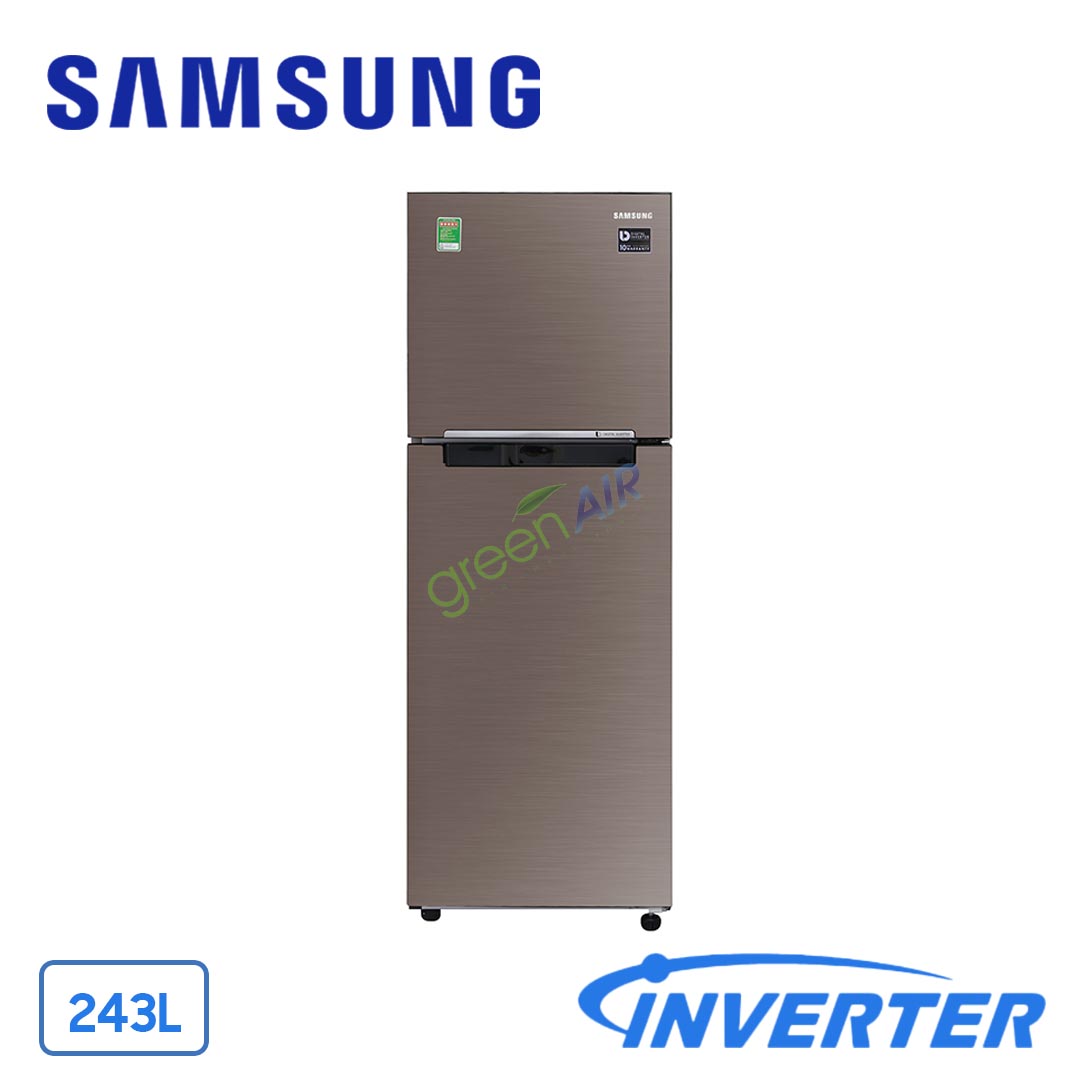 Tủ lạnh Samsung Inverter 243 Lít RT22M4032DX/SV (2 Cánh)