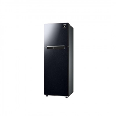 Tủ lạnh Samsung Inverter  264 Lít RT25M4032BU/SV (2 Cánh)