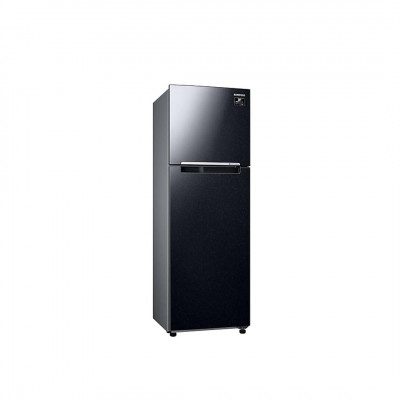 Tủ lạnh Samsung Inverter  264 Lít RT25M4032BU/SV (2 Cánh)