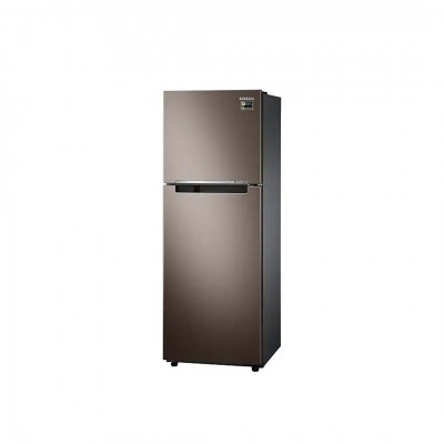 Tủ Lạnh Samsung Inverter  243 Lít RT22M4040DX/SV (2 Cánh)