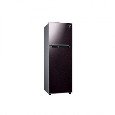 Tủ Lạnh Samsung Inverter  256 Lít RT25M4032BY/SV (2 Cánh)