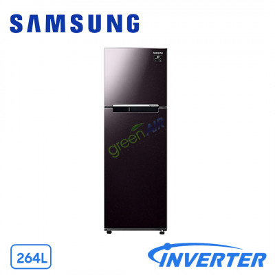 Tủ Lạnh Samsung Inverter  256 Lít RT25M4032BY/SV (2 Cánh)