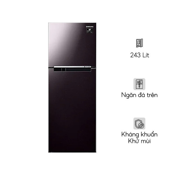 Tủ Lạnh Samsung Inverter  243 Lít RT22M4032BY/SV (2 Cánh)