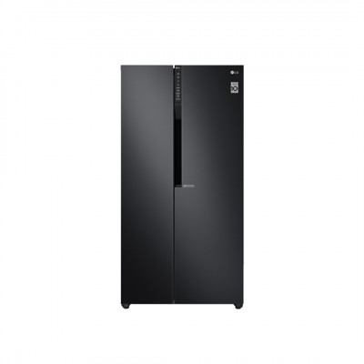 Tủ lạnh LG Inverter 613 Lít GR-B247WB (2 Cánh)