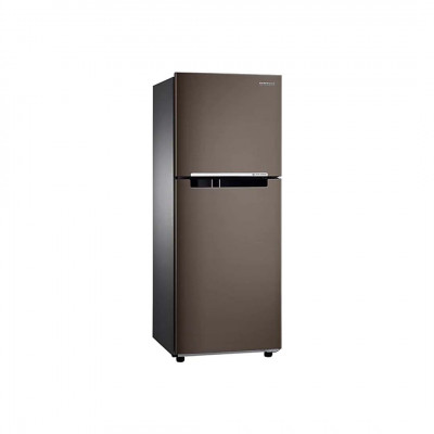 Tủ lạnh Samsung Inverter 216 Lít RT20HAR8DDX/SV (2 Cánh)