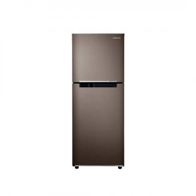Tủ lạnh Samsung Inverter 216 Lít RT20HAR8DDX/SV (2 Cánh)