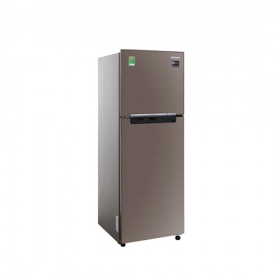Tủ lạnh Samsung Inverter 243 Lít RT22M4032DX/SV (2 Cánh)
