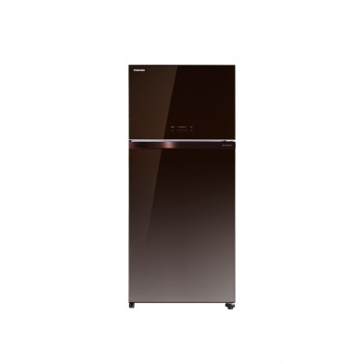 Tủ lạnh Toshiba 555 lít Inverter GR-AG58VA (PGB) (2 Cánh)
