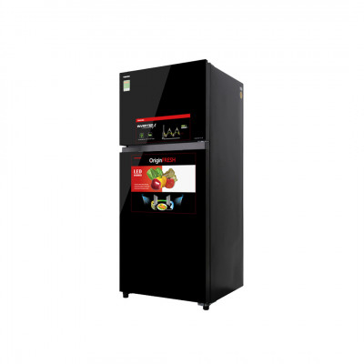 Tủ lạnh Toshiba 359 Lít Inverter GR-AG41VPDZ (XK1) (2 Cánh)