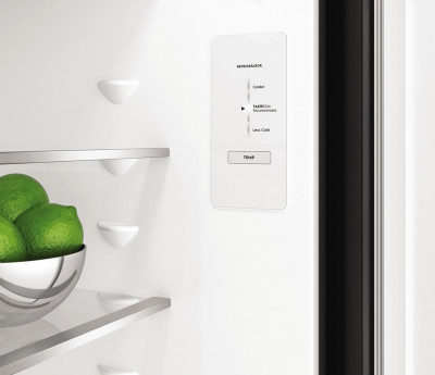 Tủ Lạnh Electrolux 308 Lít Inverter EBB3402K-A (2 Cánh)