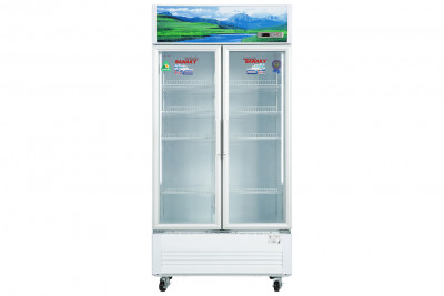 Tủ mát Sanaky 900L VH-1009HP