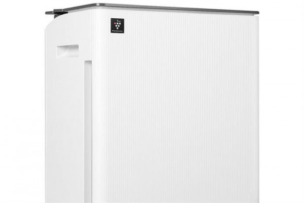 Máy hút ẩm Sharp DW-T30HV-W