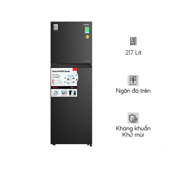 Tủ lạnh Toshiba Inverter 271 lít GR-RT349WE-PMV(68)