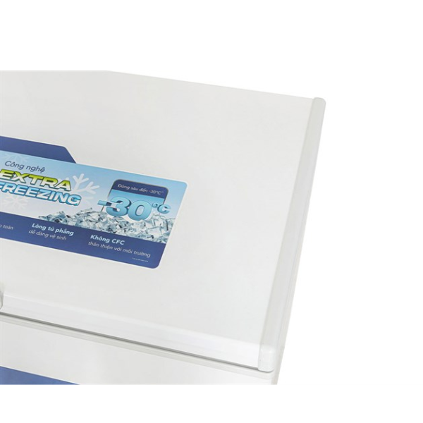 Tủ Đông Hòa Phát 252 lít HPF AN6252