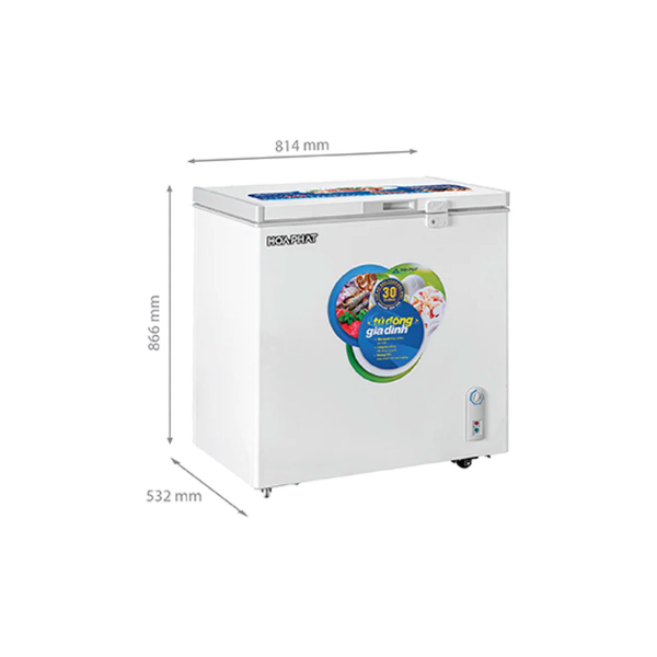 Tủ đông Hòa Phát HPF AN6162 162 lít